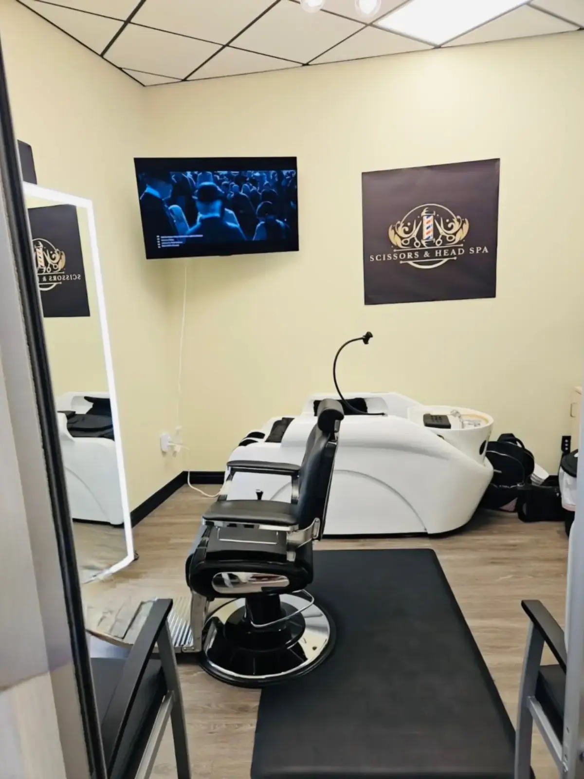 Professional hair and scalp treatment setup